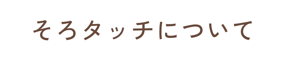 そろタッチについて